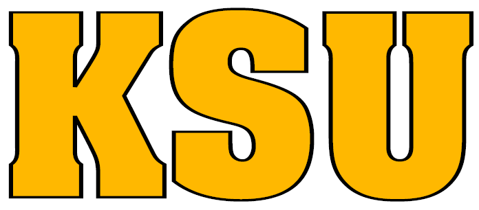 Kennesaw State Owls 0-2011 Wordmark Logo t shirts DIY iron ons